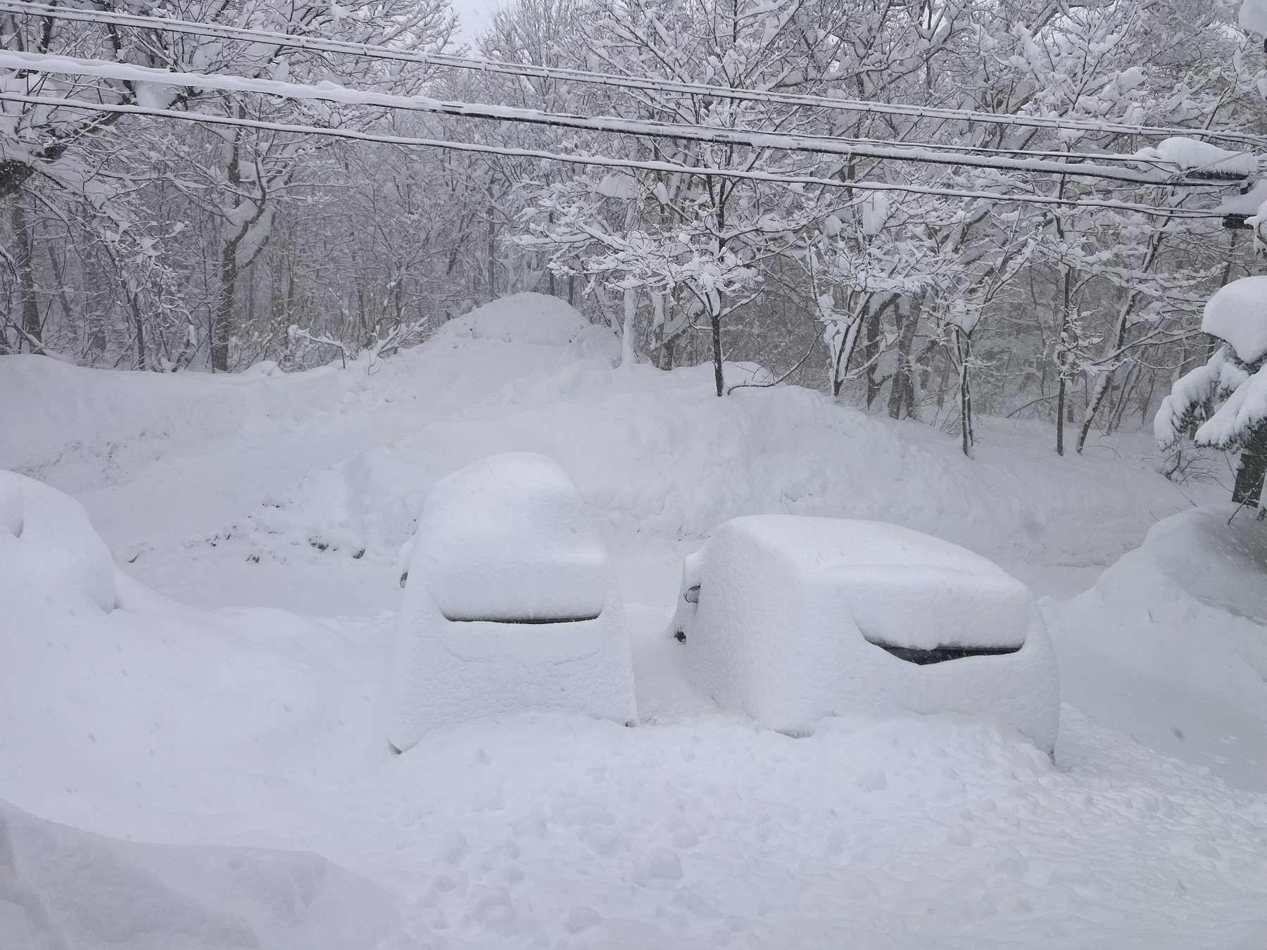 PowCow vehicles in snow